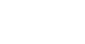 FHE_v1